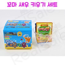 리얼세일(Realsale) 꼬마 새우키우기/꼬마 새우 키우기/새우키우기/씨몽키, 5개