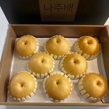 나주 햇배 신고 선물세트 프리미엄 백화점 과일 농협 직송 현지 발송, 나주 햇배(원황) 특품(22년)7.5kg(11-13과)