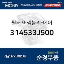 필터 어셈블리-에어(연료주입구쪽 장착) (314533J500)