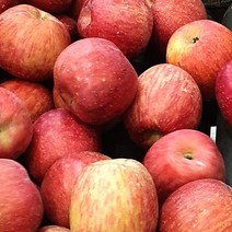 고당도 아삭한 식감의 이온수 세척사과, 중과, 9kg