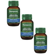 Thompsons 톰슨 은행잎 추출물 Ginkgo 6000mg 60정, 3개