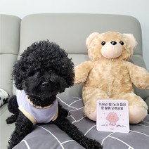 꼬잇 도어사인 강아지 고양이 디자인 문패 강아지가 짖어요 아크릴 스티커, 고양이_터키쉬앙꼬라