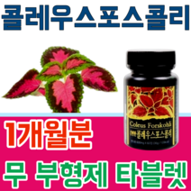 식품 안정선 검사 통과한 힐링 콜레우스 포스콜리 콜리우스 포스코리 간편하게 먹는 무 부형제 스테아린 마그네슘 이산화규소 없는 무첨가 타블렛 파는곳 추천, 1