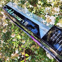 세양 캐리비언3 낚시대 바다찌낚시대 1-430, 그랜드캐니언2 T-530(고무라바)