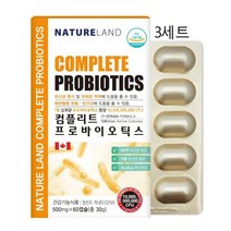 식약처인증 유산균 프로바이오틱스 락토바실러스 플란타럼 복합물 케어 장관리 프락토올리고당 100억유산균, 3