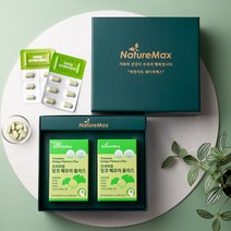 징코 메모리플러스 60정 선물세트 4개월분 은행잎 추출 기억력 개선 부모님