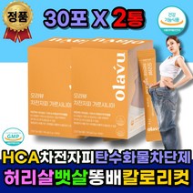 남자 HCA 차전자피 술배 배변활동 체지방감소 다이어트 보조제 컷팅제 뱃살 복부 체지방 보조제 똥배 윗배 아랫배 옆구리살 상체살 팔뚝살 하체 식 약 청 살빼는 방 법 중년 여자