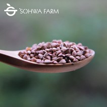 2022년 국산 볶은 깐 메밀차 500g 거피 메밀 차, 1개