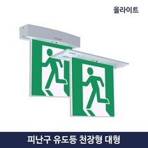 천정형 비상구 유도등 LED 대형 피난구 소방 조명 단면 양면 노출, 2.양면, 2.좌방향