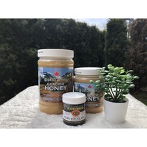 [해외직구캐나다공식구매대행업체] 웨스턴 세이지 Western Sage 캐나다 로키 자연산 석청꿀 아이스허니 500g 1kg, 시나몬, 4개
