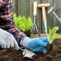 핸드맥스이지워크 - 원예 가드닝 화훼 정원 경작업장갑, 1개, 그린