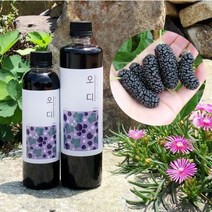 농부프린스 오디 청 원액 즙 오디의 효능 오디액 300ml 500ml