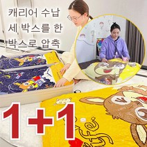 1/1+1 【펌프 증정！】초호화 콤비 진공압축백 의류진공압축팩 옷이나 이불을 수납하는 가방, 플렛 스타일 B세트 *1+1