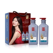 동의홍삼 비듬 케어 홍삼샴푸 박하향, 2개, 500ml