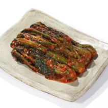 광주 김치타운 김치가 맛있는 정휴선 갓김치 2kg 3kg 5kg, 갓김치5kg