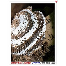 땅벌집 엑기스, 60개입 / 1포당 120ml / 7.3kg