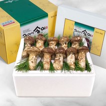 강원의 자연이 빚은 천년의 향 22년 10월수확 송이(냉동) 버섯, 자연송이 특품2, 1000g