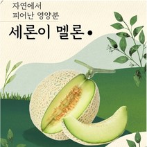 GAP 나주 세지 메론 세론이 멜론 정품 11~13brx, 노랑박스(13브릭스)3수 한박스 5kg