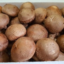 상록월드 농산물 표고버섯 200g 1Kg 2Kg, 1box