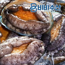 완도 활전복 1kg 30-40미(산소포장)_국내양식산, 단품