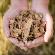 국산 한방차 30종 볶은 옥수수 보리 우엉 결명자 둥굴레 돼지감자 가지 치커리 작두콩 무말랭이 율무 차, 볶은우엉차100g