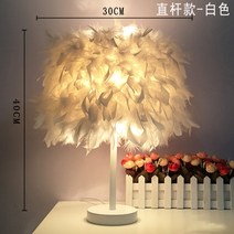 고급 인플루언서 깃털 장식 스탠드 조명 침실 거실, (화이트스틱)화이트-LED + 원격제어
