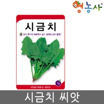 그린월드 시금치씨앗 7g, 시금치
