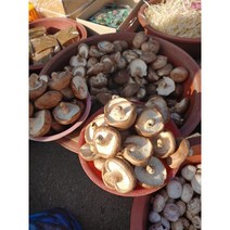 국내산 못난이 생 표고버섯 1kg / 김장용 /육수용/가루용/식당용/대량용 산지직송, 15kg