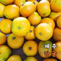 홍이네 제주 감귤 새콤달콤 고당도 밀감 하우스, 3kg 하우스감귤(대과/벌크), 1개