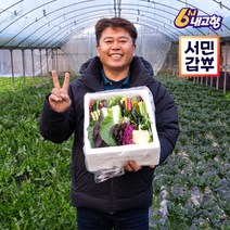 봉봉채소 대용량 무농약 유러피안 샐러드 야채 쌈 채소 믹스 모듬세트 1kg 무배, 1박스