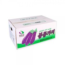 가지튀김 가지무침 박스 보라색채소 가지볶음 가지요리 상 가지 다이어트 안토시아닌 가지덮밥 폴리페놀, 단품, 단품