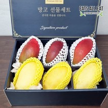 이츠올릿 애플 3과 + 골드 망고 3과 선물 세트 답례품 무지개 과일