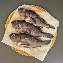 태안 반건조 우럭 구이 찜 3미 (중금속 방사능 검사 완료), 반건조 우럭 3미