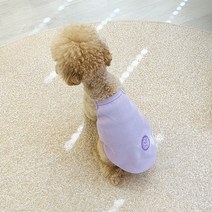 펫디자인 PETD 골지 끈나시 4colors, 연보라