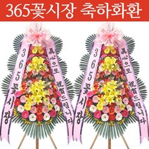 (당일 전국 축하화환 (일반형/고급형) 3단 고급 생화 전국 당일 꽃배달, 축하화환 (고급형)