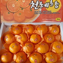 달콤달콤 천혜향, 천혜향 (12-16과)