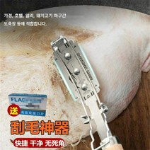 정육칼 정육점 면도기 나이프 돼지 소 양 고기 업소용 털 제거기, FREE