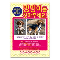 반려견찾기애완실종전단지 고양이 실종 강아지를찾아주세요 디자인무료, 샘플7, 100매