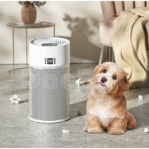 대박 공기 청정기 360 강제환기 가정용 공기청정기 Admair KJ250G-9920 미세먼지제거 탈취가능