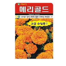 SN월드 씨앗 고급꽃씨 꽃씨앗, 고급 - 메리골드(10립)