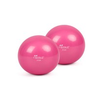 에코리즈 토닝볼 0.5LB (핑크) 2개입