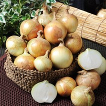 푸르젠 [선별배송] 23년산 국내산 양파 5kg(소/장아찌용 100g 미만), 단품없음