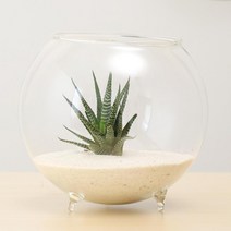 꽃병 생화 조화 화병 테라리움 볼 글로브 모양 투명 유리 꽃병꽃 식 방꾸미기 데코 소품, 01 S