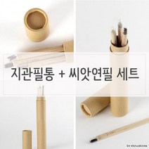 씨앗연필 n 싹이나는 지관필통 세트, 씨앗선택/해바라기