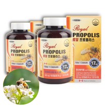 캐나다산 프로폴리스 180캡슐 x 2박스 12개월분 PROPOLIS 프로폴리스 프로플러스 프로폴리스 분말 가성비 프로폴리스 항산화 식품 항산화 영양제 활성산소 영양제
