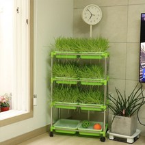 디모토 그린 가정용 수경재배기 식물재배기 새싹보리 키우기 세트(바구니포함)/수경재배키트, 1열3단, 1개