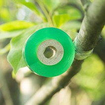 원예 식물 나무 가지 조경 전지 과수 묘목 접목 이식 자체 접착 방수 비닐 테이프 100m M10666