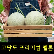 영화농산 프리미엄 멜론 4kg 곡성멜론 멜론가격, 상품선택