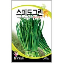스피드그린 2000립 / 부추 씨앗 종자 텃밭키우기 채소키우기
