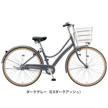시티자전거 27인치 통학 통근 성인용 청소년 자전거, 다크 그레이